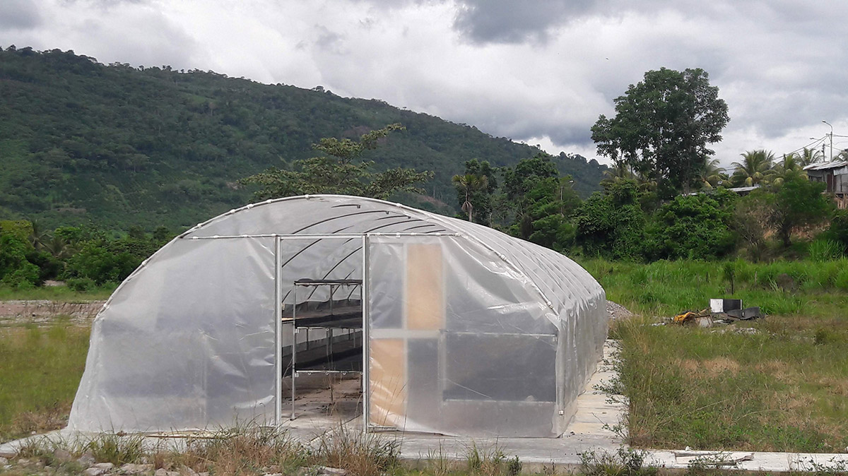 APASEM Plantaciones