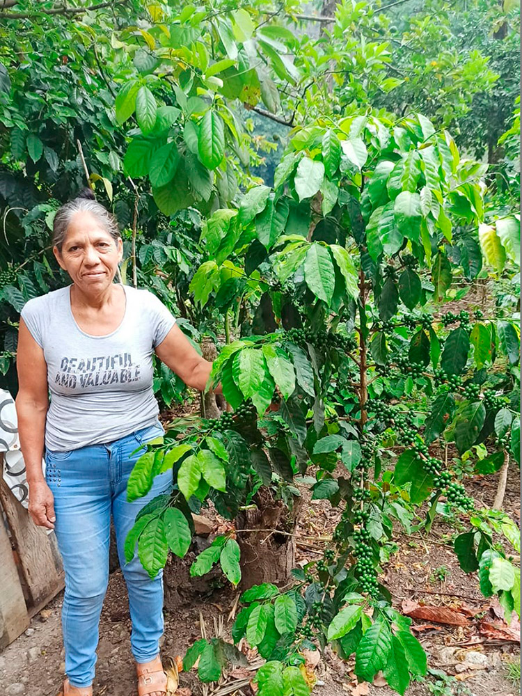 APASEM Plantaciones