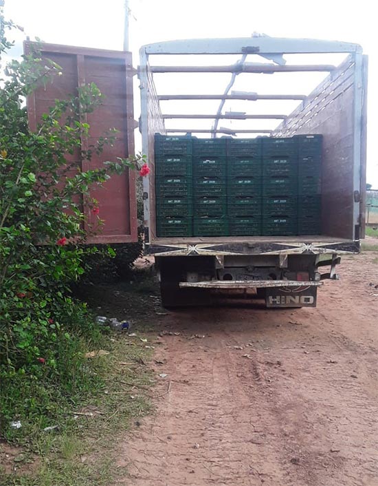 Transporte