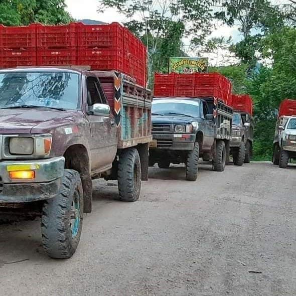 APASEM Transporte